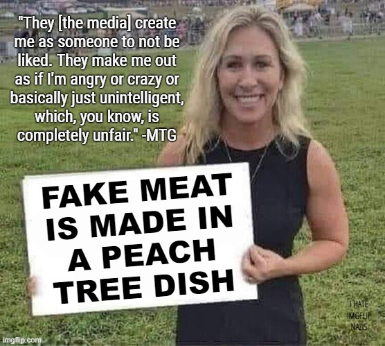 ignorant and oblivious...ignorance is bliss | "They [the media] create
me as someone to not be
liked. They make me out
as if I'm angry or crazy or
basically just unintelligent,
which, you know, is
completely unfair." -MTG; FAKE MEAT
IS MADE IN
A PEACH
TREE DISH; I HATE IMGFLIP NAZIS | image tagged in marjorie taylor greene,peach,tree,princess peach,crazy lady,stupid | made w/ Imgflip meme maker