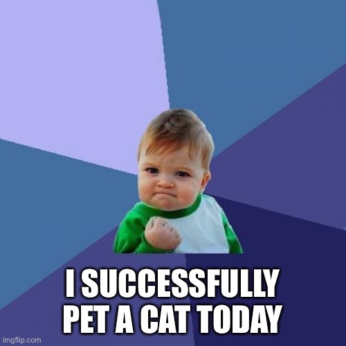 Success Kid | I SUCCESSFULLY PET A CAT TODAY | image tagged in memes,success kid | made w/ Imgflip meme maker