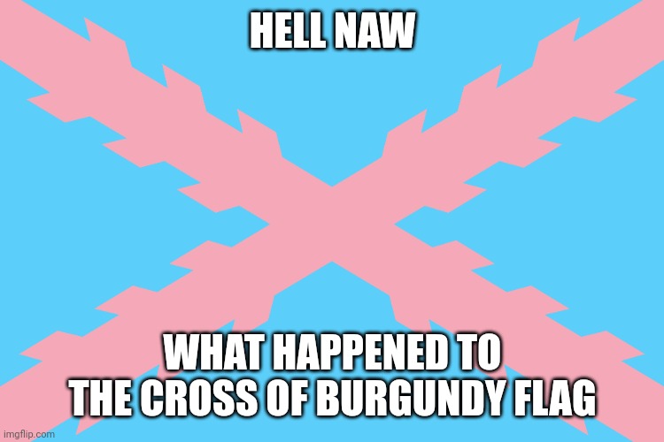 HELL NAW; WHAT HAPPENED TO THE CROSS OF BURGUNDY FLAG | made w/ Imgflip meme maker