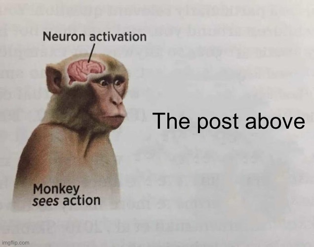 Monkey neuron activation | The post above | image tagged in monkey neuron activation,memes | made w/ Imgflip meme maker