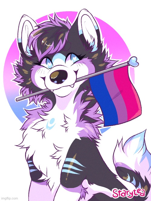 Happy pride month to all my best bi’s out threre!!! Art by StaryTea | made w/ Imgflip meme maker