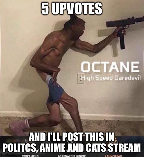 Octane high speed daredevil | 5 UPVOTES; AND I'LL POST THIS IN POLITCS, ANIME AND CATS STREAM | image tagged in octane high speed daredevil | made w/ Imgflip meme maker