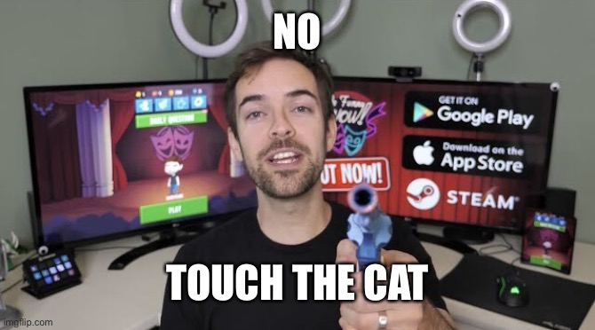 No | NO; TOUCH THE CAT | image tagged in jacksfilms gun | made w/ Imgflip meme maker