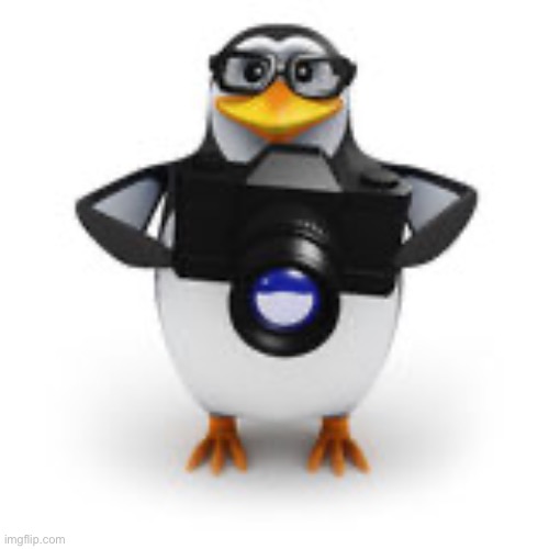 Penguin | image tagged in caught in 4k | made w/ Imgflip meme maker