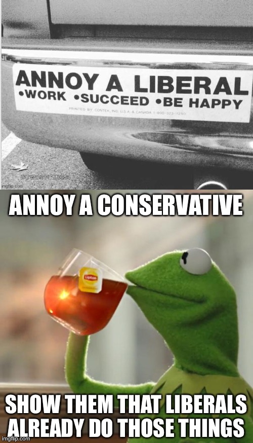 ANNOY A CONSERVATIVE; SHOW THEM THAT LIBERALS ALREADY DO THOSE THINGS | image tagged in memes,but that's none of my business | made w/ Imgflip meme maker