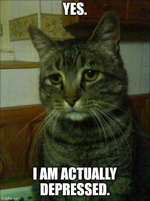 Depressed Cat Meme | YES. I AM ACTUALLY DEPRESSED. | image tagged in memes,depressed cat | made w/ Imgflip meme maker