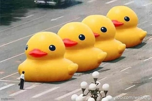 duck square incident | image tagged in ducks tiananmen square | made w/ Imgflip meme maker