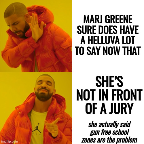 Stupid Is Stupid | MARJ GREENE SURE DOES HAVE A HELLUVA LOT TO SAY NOW THAT; SHE’S NOT IN FRONT OF A JURY; she actually said gun free school zones are the problem | image tagged in memes,drake hotline bling,stupid,she's stupid,loser,trumpublican terrorist | made w/ Imgflip meme maker