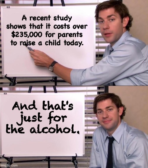 Cost | A recent study shows that it costs over $235,000 for parents to raise a child today. And that's just for the alcohol. | image tagged in jim halpert explains | made w/ Imgflip meme maker