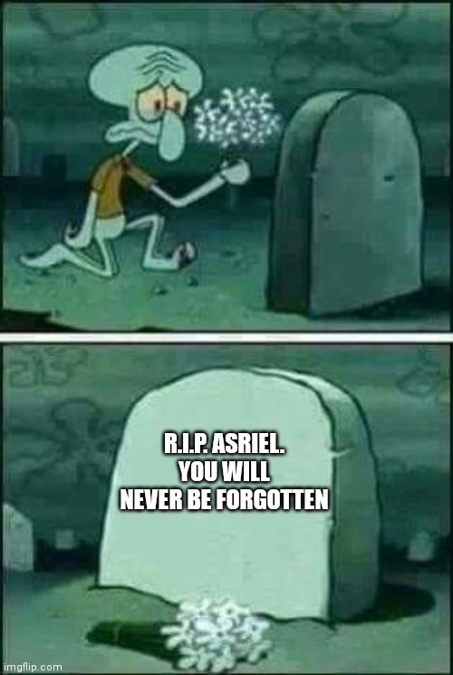 Squidward gravestone meme | R.I.P. ASRIEL.
YOU WILL NEVER BE FORGOTTEN | image tagged in squidward gravestone meme | made w/ Imgflip meme maker
