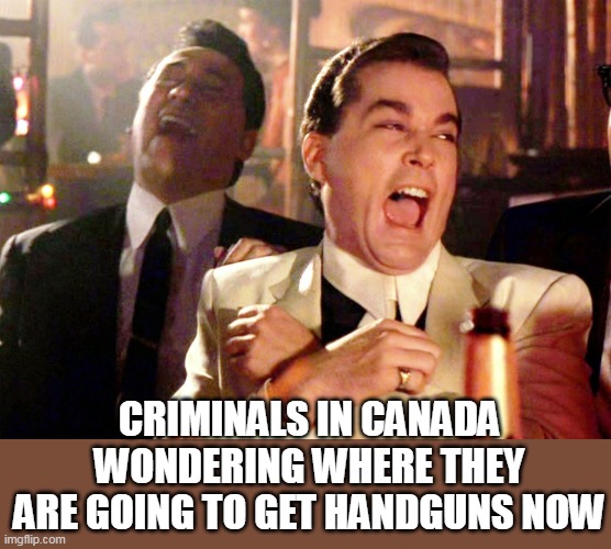 Good Fellas Hilarious | CRIMINALS IN CANADA WONDERING WHERE THEY ARE GOING TO GET HANDGUNS NOW | image tagged in memes,good fellas hilarious | made w/ Imgflip meme maker