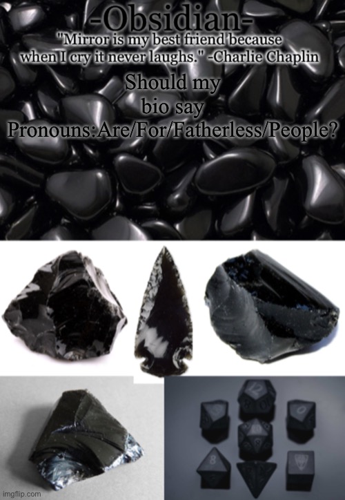 Obsidian | Should my bio say Pronouns:Are/For/Fatherless/People? | image tagged in obsidian | made w/ Imgflip meme maker