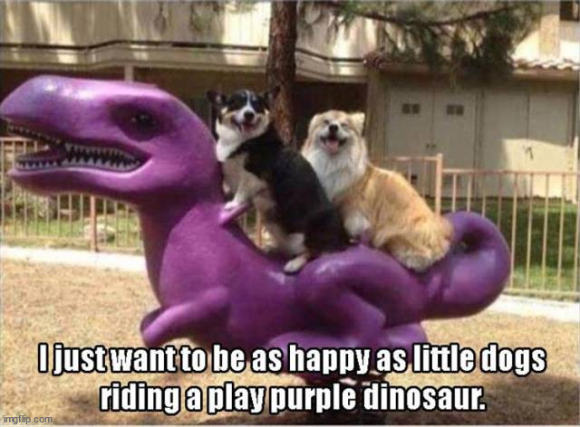 image tagged in dogs | made w/ Imgflip meme maker