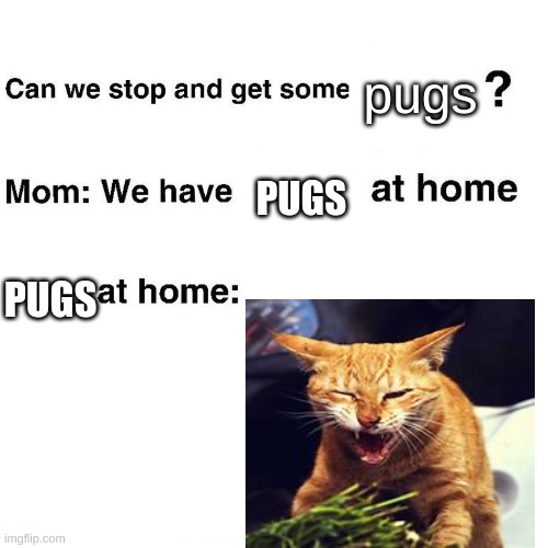 Pugs | pugs; PUGS; PUGS | image tagged in at home | made w/ Imgflip meme maker