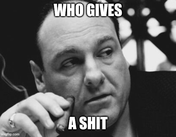 Tony Soprano Admin Gangster | WHO GIVES; A SHIT | image tagged in tony soprano admin gangster | made w/ Imgflip meme maker