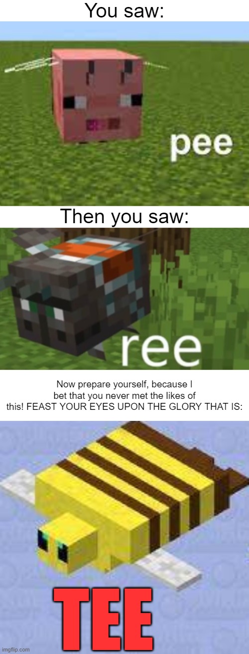 You saw:; Then you saw:; Now prepare yourself, because I bet that you never met the likes of this! FEAST YOUR EYES UPON THE GLORY THAT IS:; TEE | image tagged in minecraft memes | made w/ Imgflip meme maker