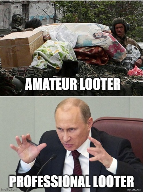 Amateur and professional looters | AMATEUR LOOTER; PROFESSIONAL LOOTER | image tagged in putin | made w/ Imgflip meme maker