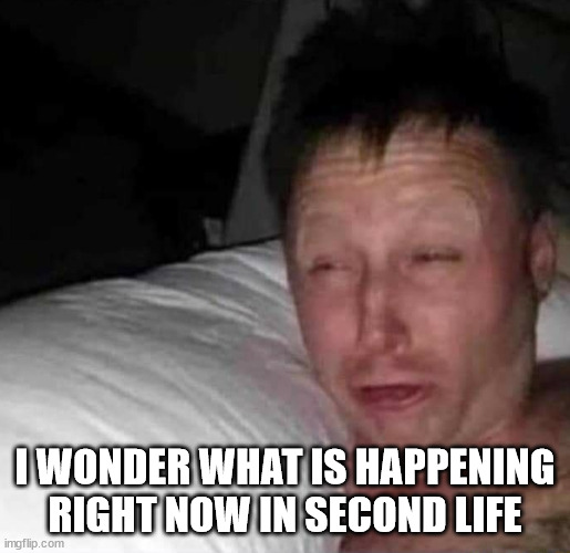 Sleepy guy | I WONDER WHAT IS HAPPENING RIGHT NOW IN SECOND LIFE | image tagged in sleepy guy | made w/ Imgflip meme maker