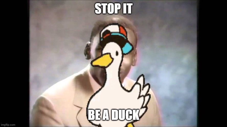 EMBRACE THE DUCK | STOP IT; BE A DUCK | image tagged in stop it get some help | made w/ Imgflip meme maker