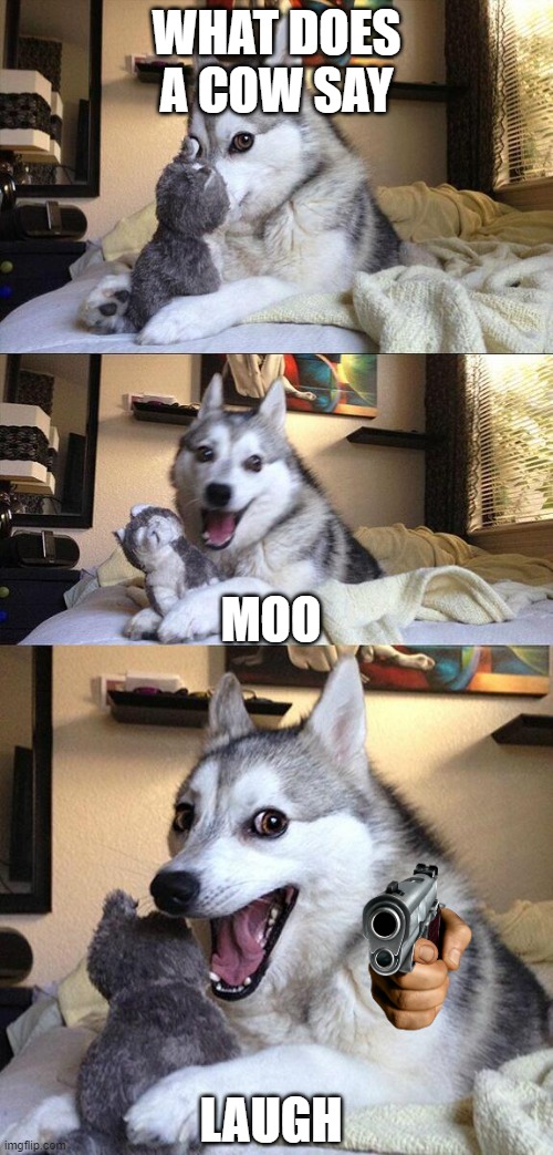 huksy | WHAT DOES A COW SAY; MOO; LAUGH | image tagged in laughing husky | made w/ Imgflip meme maker