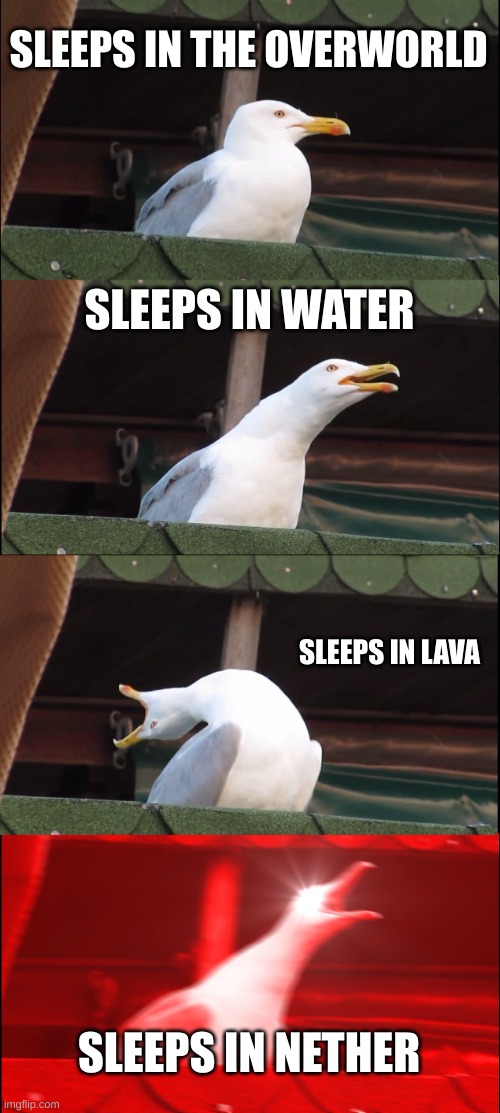 Inhaling Seagull Meme | SLEEPS IN THE OVERWORLD; SLEEPS IN WATER; SLEEPS IN LAVA; SLEEPS IN NETHER | image tagged in memes,inhaling seagull | made w/ Imgflip meme maker