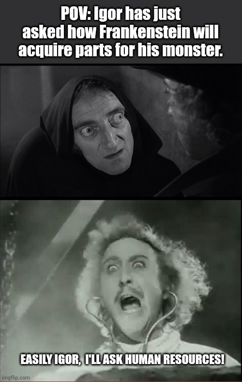 POV: Igor has just asked how Frankenstein will acquire parts for his monster. EASILY IGOR,  I'LL ASK HUMAN RESOURCES! | image tagged in young frankenstein igor,young frankenstein | made w/ Imgflip meme maker