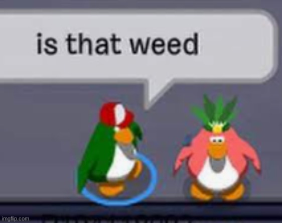 is that weed | made w/ Imgflip meme maker