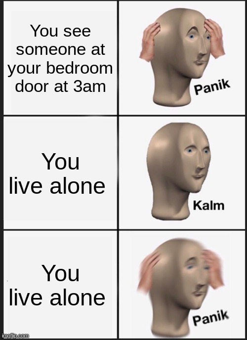 Meme poggers | You see someone at your bedroom door at 3am; You live alone; You live alone | image tagged in memes,panik kalm panik | made w/ Imgflip meme maker