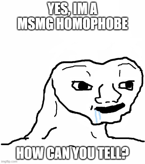 TO ALL OF YOU MSMG MINDLESS HOMOPHOBE FATHERLES MORONS CV FHHKGCJRHG4I689 | YES, IM A MSMG HOMOPHOBE; HOW CAN YOU TELL? | image tagged in brainless | made w/ Imgflip meme maker