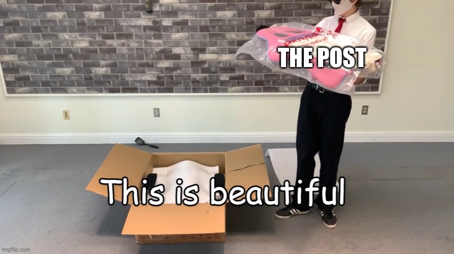 THE POST | image tagged in this is beautiful | made w/ Imgflip meme maker