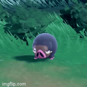 6i7zcl.gif