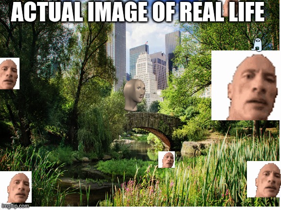 Isńt our planet just amazing | ACTUAL IMAGE OF REAL LIFE | image tagged in fun,true story | made w/ Imgflip meme maker