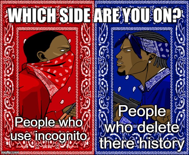 Which one do you do? |  People who delete there history; People who use incognito | image tagged in which side are you on,memes,browser history,incognito | made w/ Imgflip meme maker