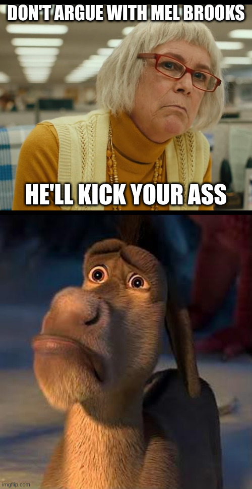 DON'T ARGUE WITH MEL BROOKS; HE'LL KICK YOUR ASS | image tagged in auditor bitch,sad donkey | made w/ Imgflip meme maker