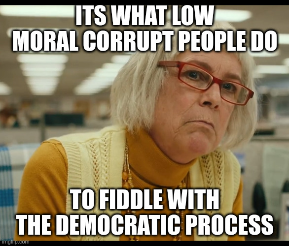 Auditor Bitch | ITS WHAT LOW MORAL CORRUPT PEOPLE DO; TO FIDDLE WITH THE DEMOCRATIC PROCESS | image tagged in auditor bitch | made w/ Imgflip meme maker