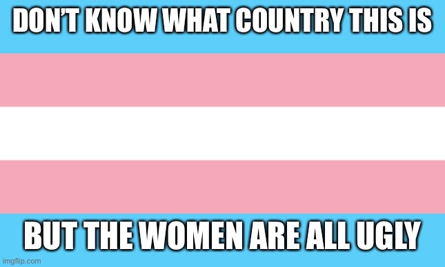 Trans Flag | DON’T KNOW WHAT COUNTRY THIS IS; BUT THE WOMEN ARE ALL UGLY | image tagged in trans flag | made w/ Imgflip meme maker