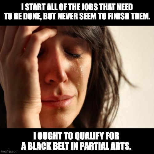 tasks | I START ALL OF THE JOBS THAT NEED TO BE DONE, BUT NEVER SEEM TO FINISH THEM. I OUGHT TO QUALIFY FOR A BLACK BELT IN PARTIAL ARTS. | image tagged in memes,first world problems | made w/ Imgflip meme maker
