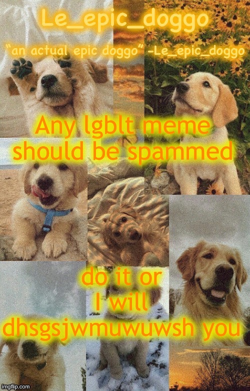 In other words, destroy you | Any lgblt meme should be spammed; do it or I will dhsgsjwmuwuwsh you | image tagged in doggo temp by doggo wait what that s confusing | made w/ Imgflip meme maker