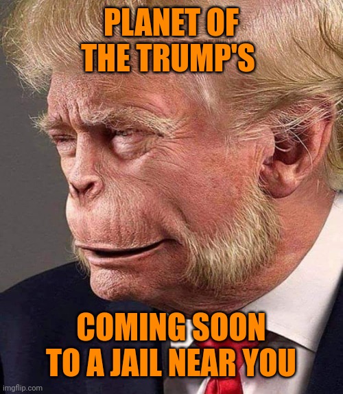 Keep your filthy hands off of America you dirty apes | PLANET OF THE TRUMP'S; COMING SOON TO A JAIL NEAR YOU | image tagged in planet of the trumps | made w/ Imgflip meme maker