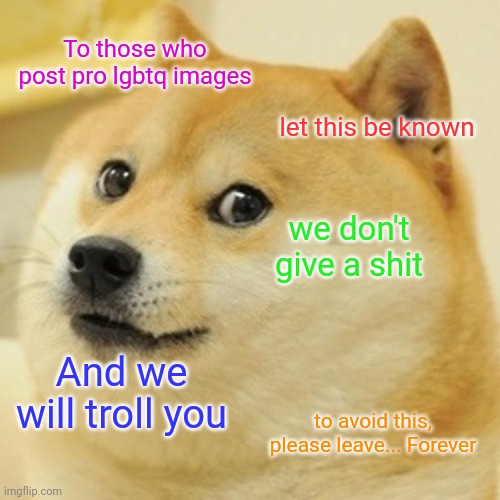 Just a warning (repost to spread the word) | To those who post pro lgbtq images; let this be known; we don't give a shit; And we will troll you; to avoid this, please leave... Forever | image tagged in memes,doge | made w/ Imgflip meme maker
