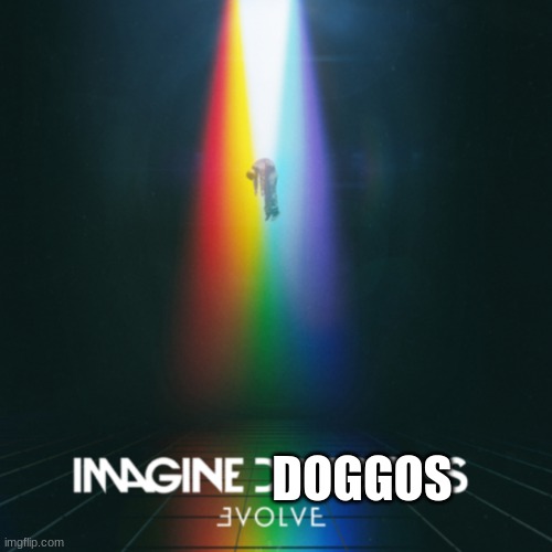 Imagine Dragons evolve | DOGGOS | image tagged in imagine dragons evolve | made w/ Imgflip meme maker