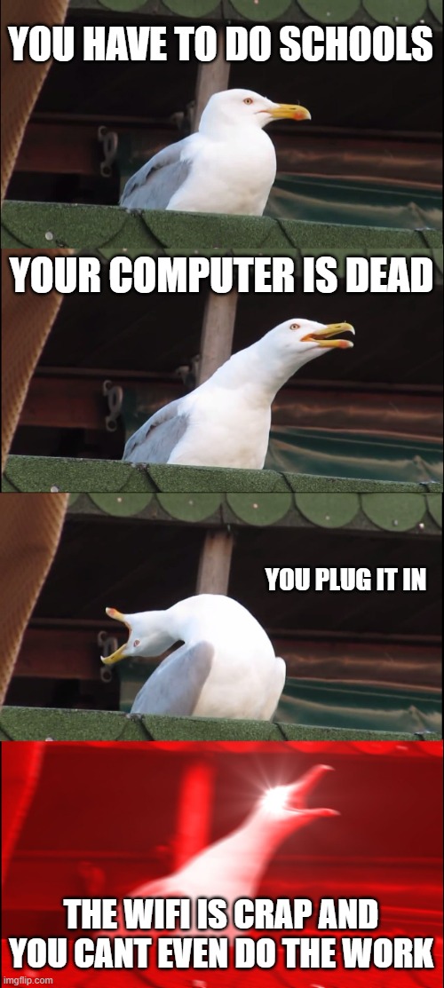 Inhaling Seagull | YOU HAVE TO DO SCHOOLS; YOUR COMPUTER IS DEAD; YOU PLUG IT IN; THE WIFI IS CRAP AND YOU CANT EVEN DO THE WORK | image tagged in memes,inhaling seagull | made w/ Imgflip meme maker