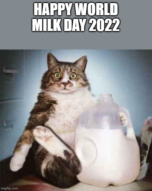 Happy World Milk Day 2022 | HAPPY WORLD MILK DAY 2022 | image tagged in milk,world milk day,cat,cute cat,funny,memes | made w/ Imgflip meme maker