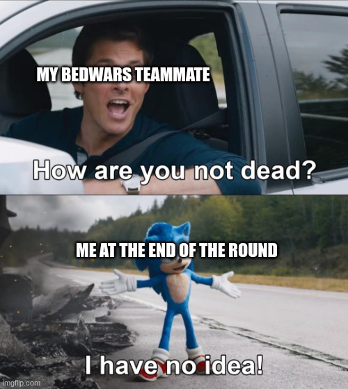 How are you not dead | MY BEDWARS TEAMMATE; ME AT THE END OF THE ROUND | image tagged in how are you not dead | made w/ Imgflip meme maker