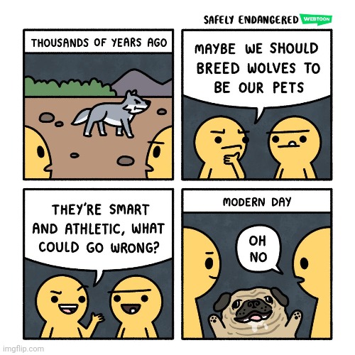 Wolves | image tagged in breed,wolves,dogs,comics,comic,comics/cartoons | made w/ Imgflip meme maker