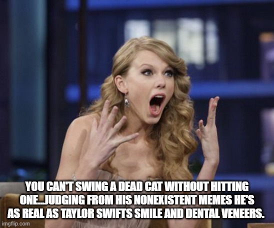 Taylor Swift | YOU CAN'T SWING A DEAD CAT WITHOUT HITTING ONE...JUDGING FROM HIS NONEXISTENT MEMES HE'S AS REAL AS TAYLOR SWIFTS SMILE AND DENTAL VENEERS. | image tagged in taylor swift | made w/ Imgflip meme maker