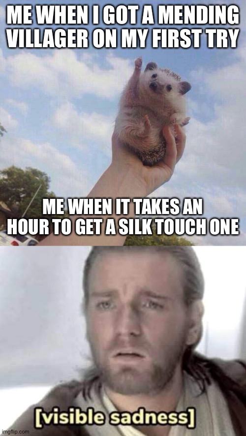 True story |  ME WHEN I GOT A MENDING VILLAGER ON MY FIRST TRY; ME WHEN IT TAKES AN HOUR TO GET A SILK TOUCH ONE | image tagged in lets go,obi-wan kenobi visible sadness | made w/ Imgflip meme maker