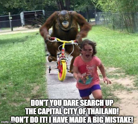 Don't do it!!! | DON'T YOU DARE SEARCH UP THE CAPITAL CITY OF THAILAND! DON'T DO IT! I HAVE MADE A BIG MISTAKE! | image tagged in run,no,pls no,dont do it,plz no | made w/ Imgflip meme maker