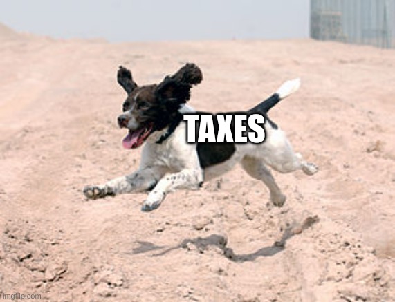 Cringe ;( | TAXES | image tagged in running dog | made w/ Imgflip meme maker