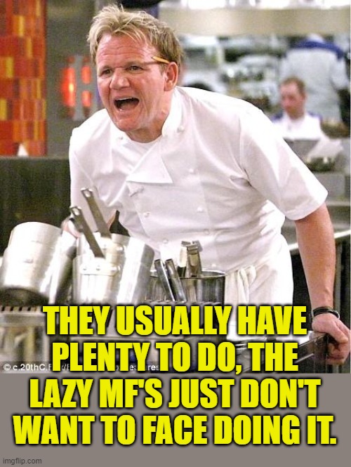 Chef Gordon Ramsay Meme | THEY USUALLY HAVE PLENTY TO DO, THE LAZY MF'S JUST DON'T WANT TO FACE DOING IT. | image tagged in memes,chef gordon ramsay | made w/ Imgflip meme maker
